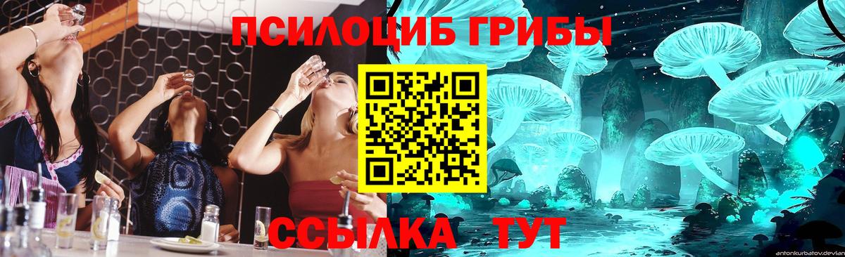 Псилоцибиновые грибы Psilocybine cubensis Невинномысск
